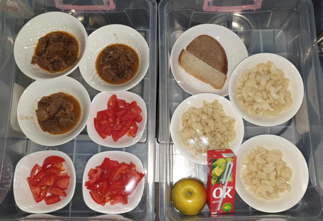 11.11.2024 ж. арналған бақылау тағамдары