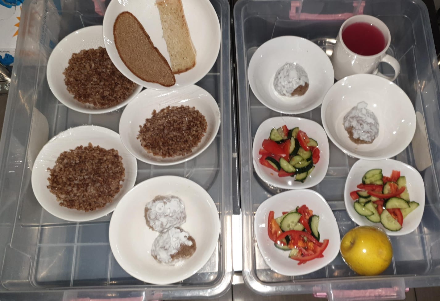 15.11.2024 ж. арналған бақылау тағамдары