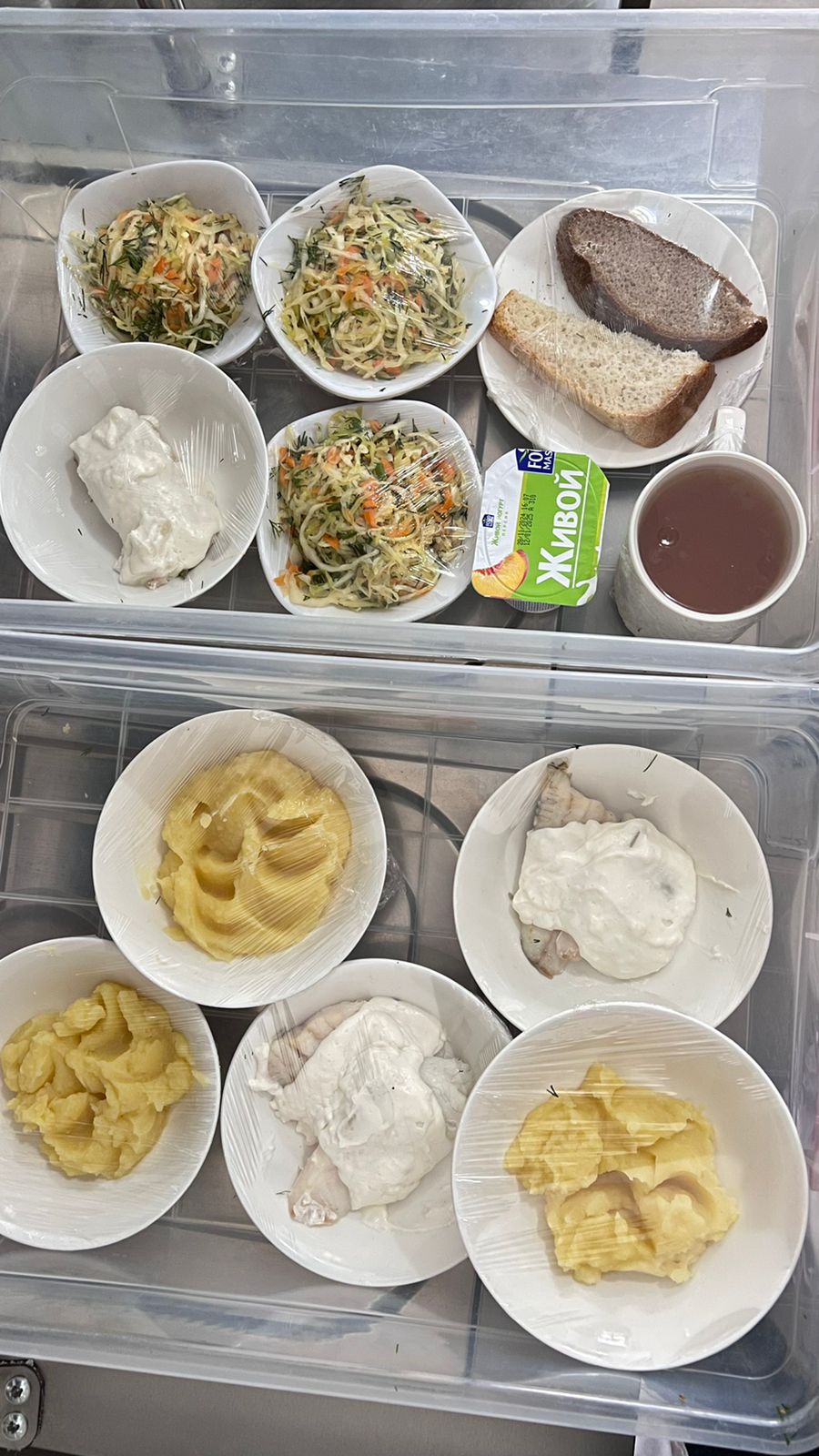 12.11.2024 ж. арналған бақылау тағамдары