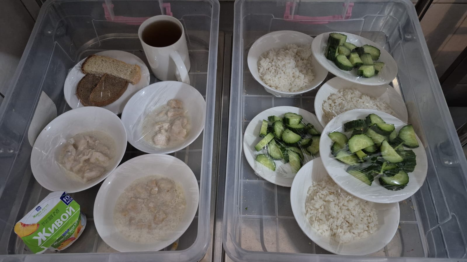 20.12.2024 ж. арналған бақылау тағамдары