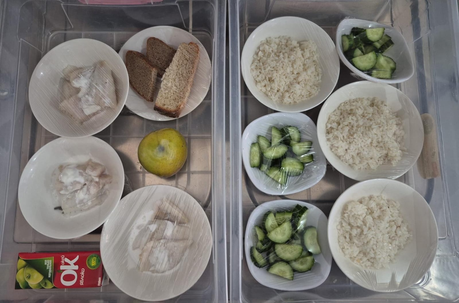 26.12.2024 ж. арналған бақылау тағамдары