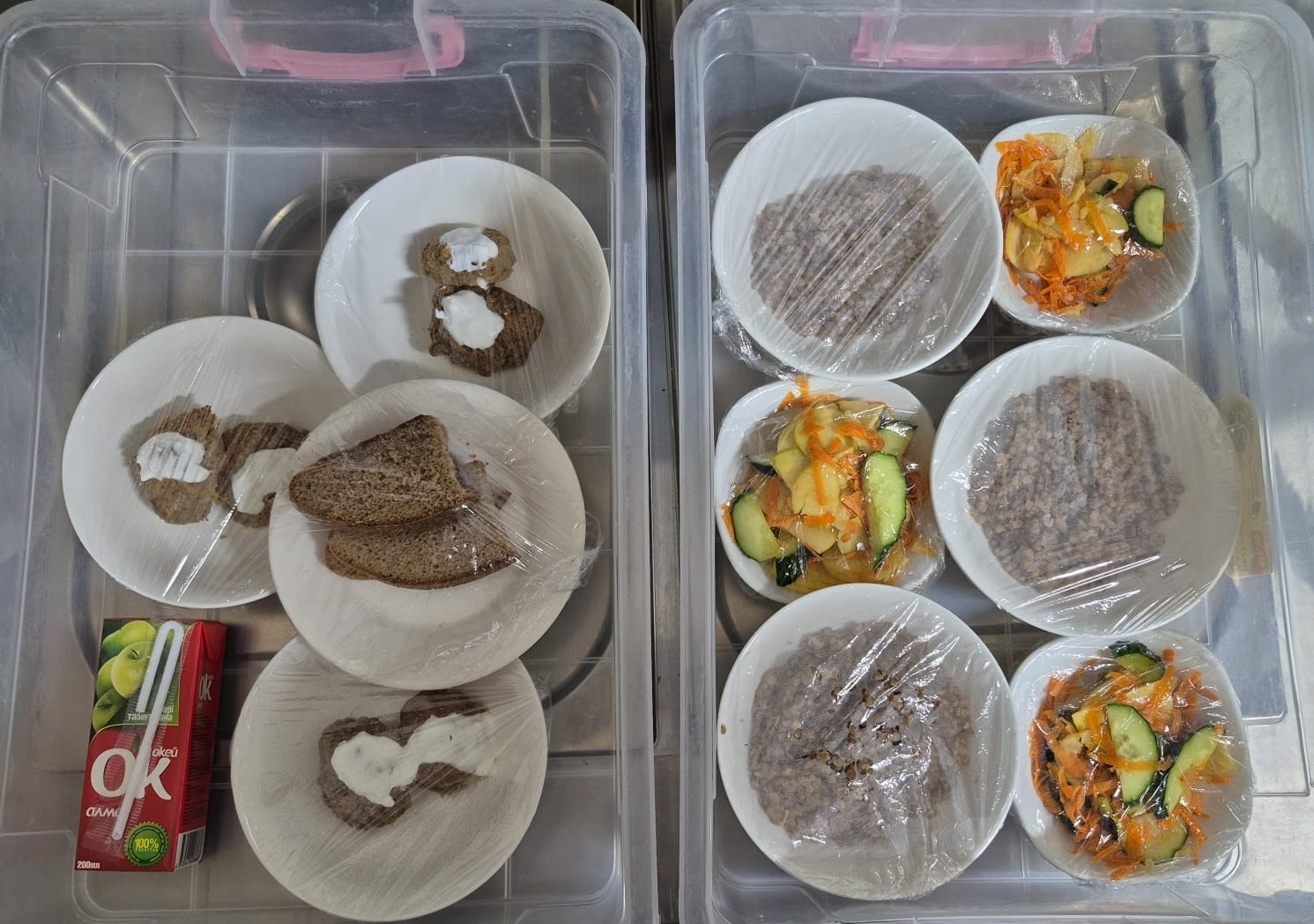 09.04.2025 ж. арналған бақылау тағамдары