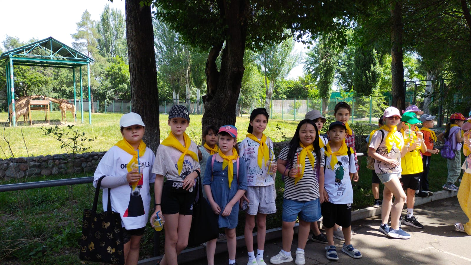 Мектеп жанындағы лагерь