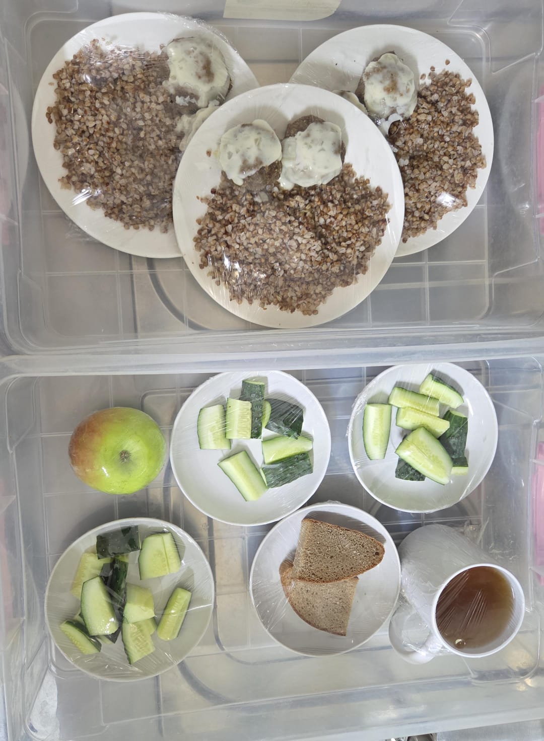 02.01.2025 ж. арналған бақылау тағамдары