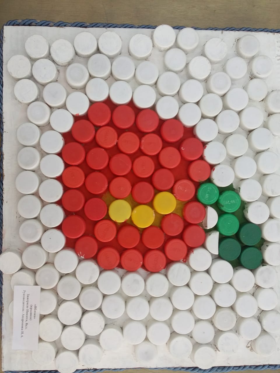 Қалдық материалдан жасалған қолөнер көрмесі