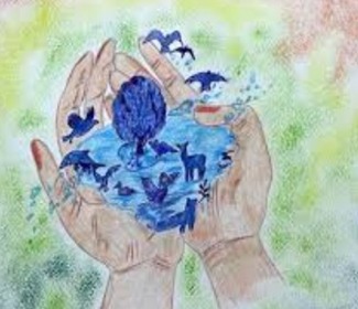 Сурет байқауы