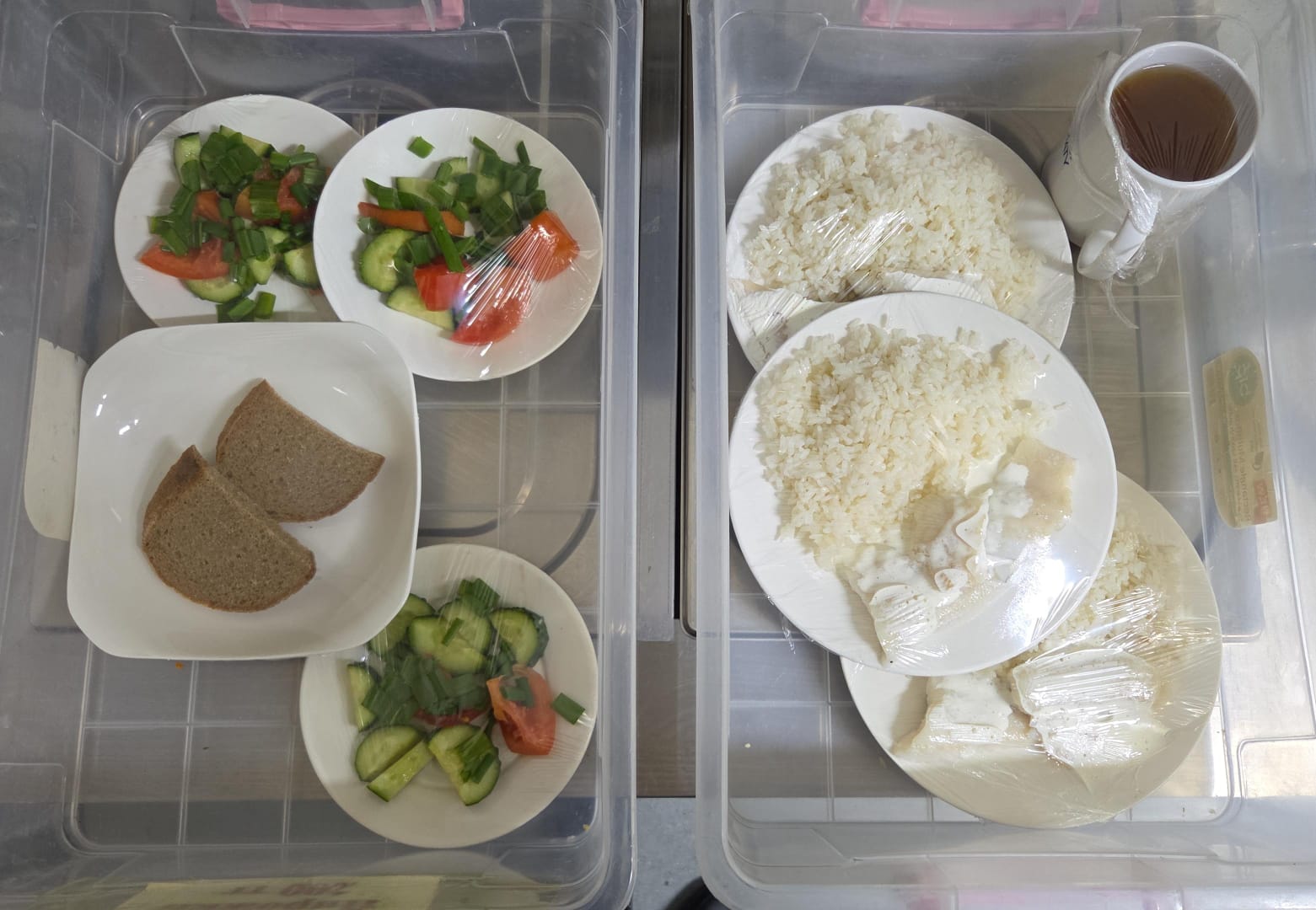 23.10.2025 ж. арналған бақылау тағамдары