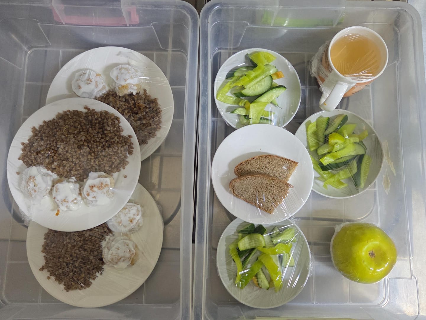 11.11.2025 ж. арналған бақылау тағамдары