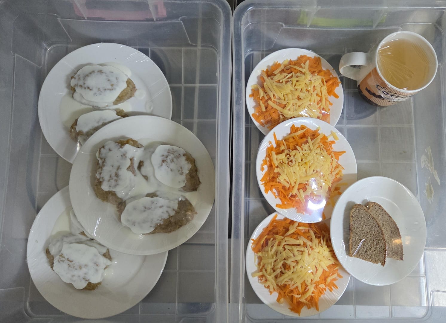 12.11.2025 ж. арналған бақылау тағамдары