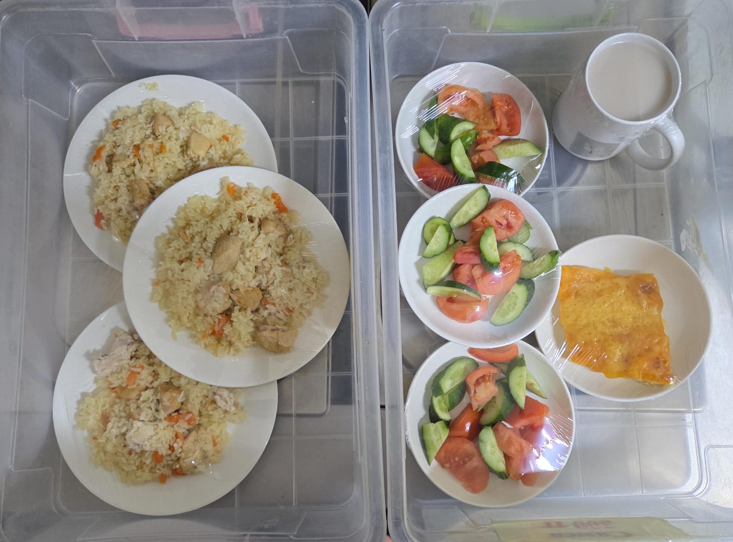 14.11.2025 ж. арналған бақылау тағамдары