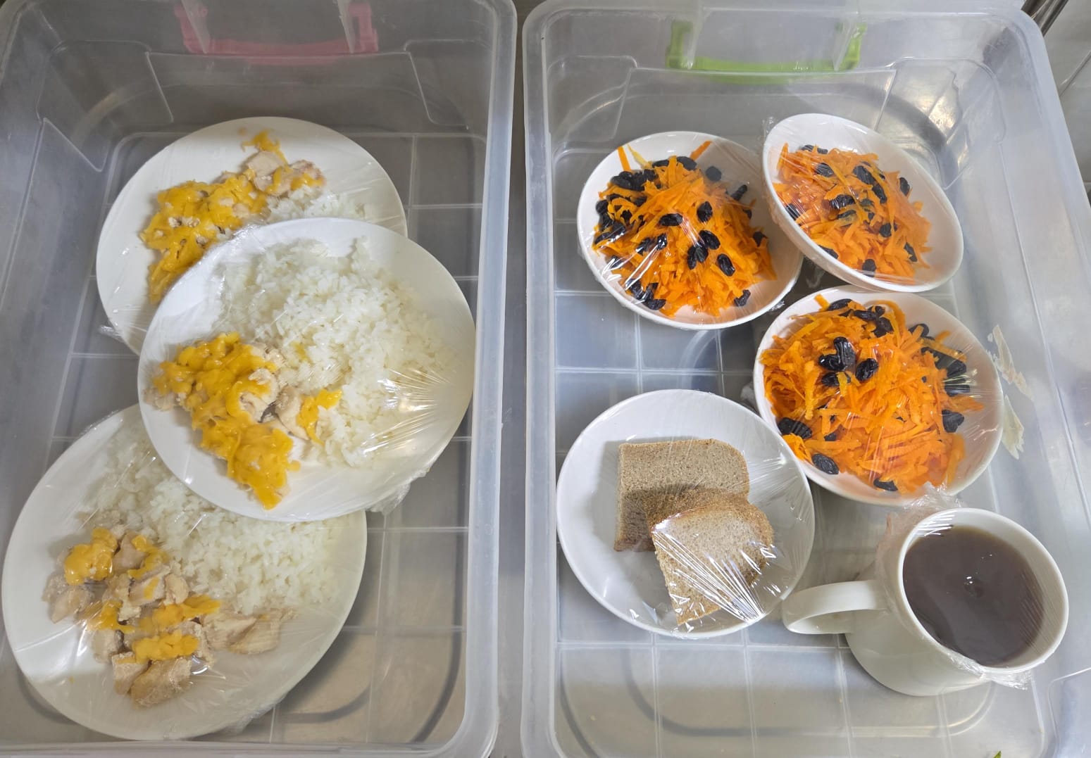 17.11.2025 ж. арналған бақылау тағамдары