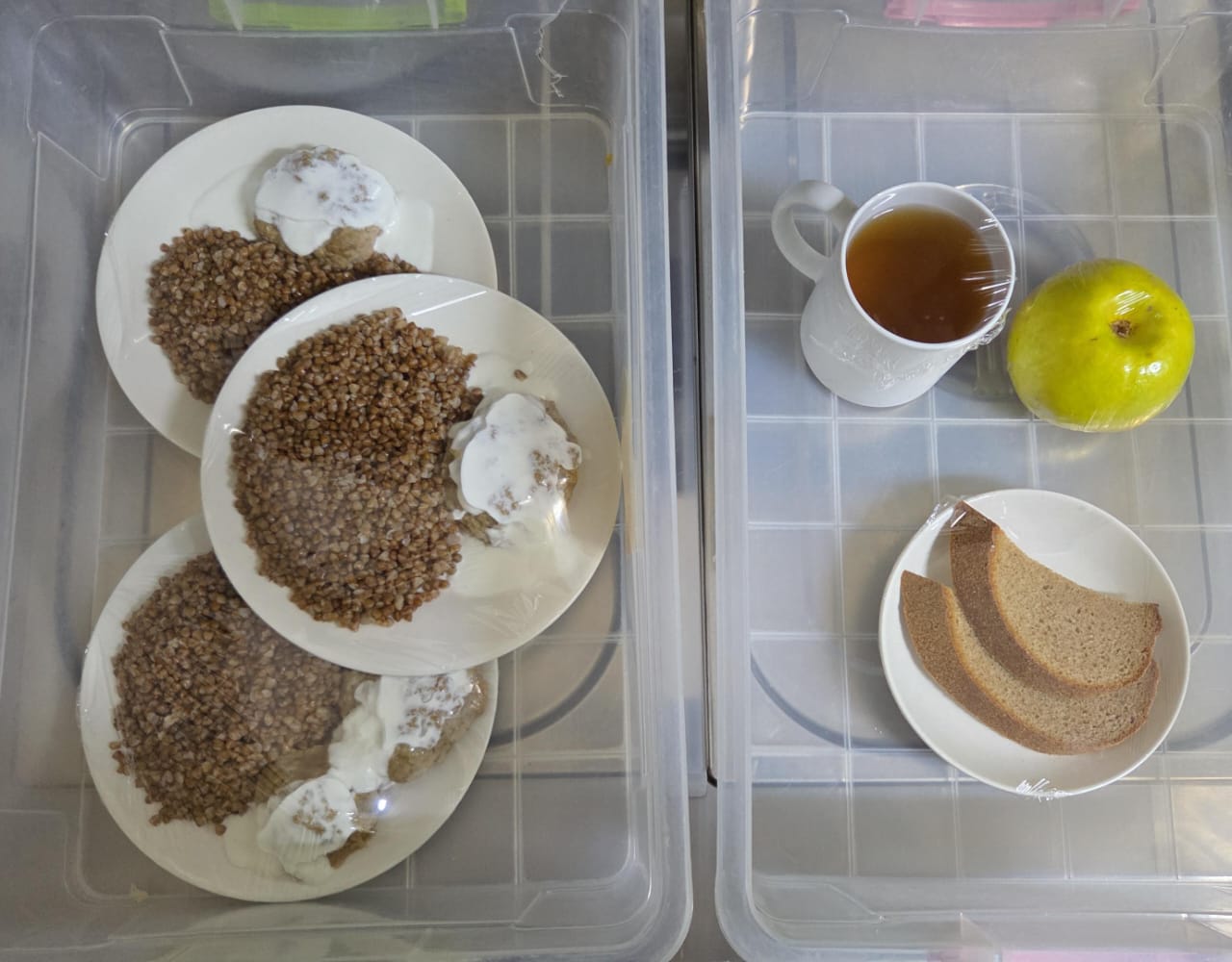 02.12.2025 ж. арналған бақылау тағамдары