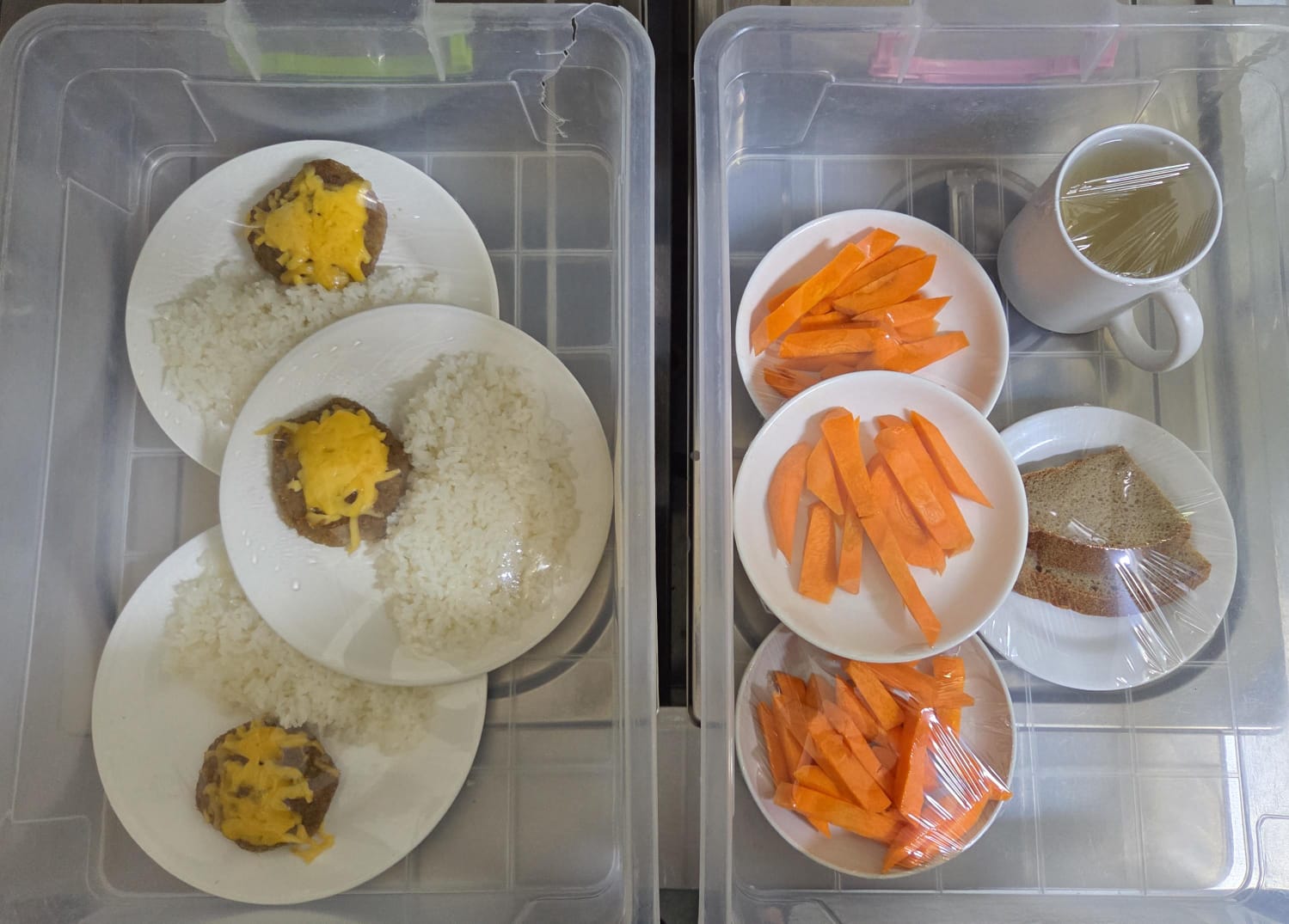 10.12.2025 ж. арналған бақылау тағамдары