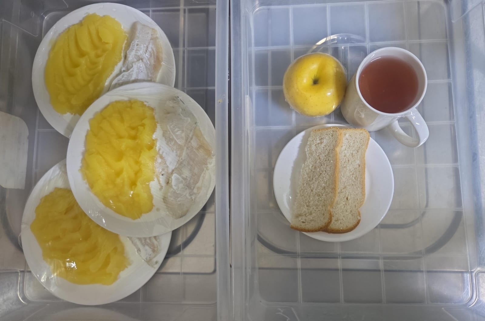 08.01.2026 ж. арналған бақылау тағамдары