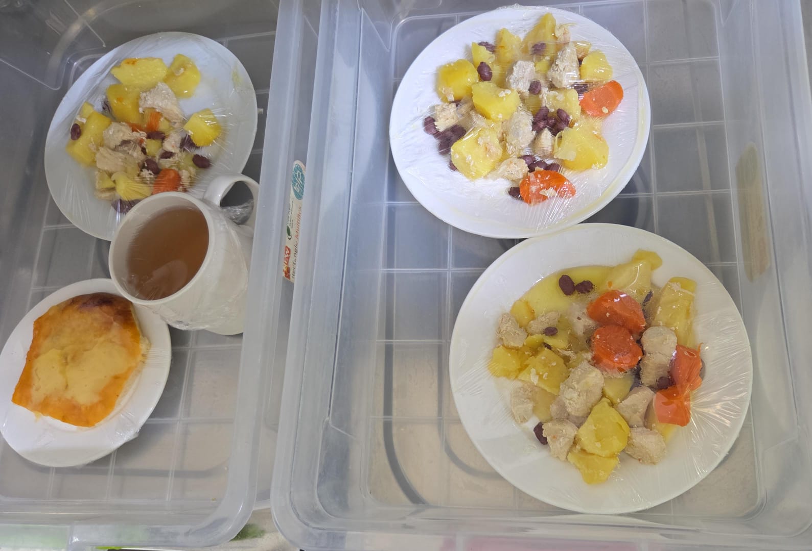 27.01.2026 ж. арналған бақылау тағамдары