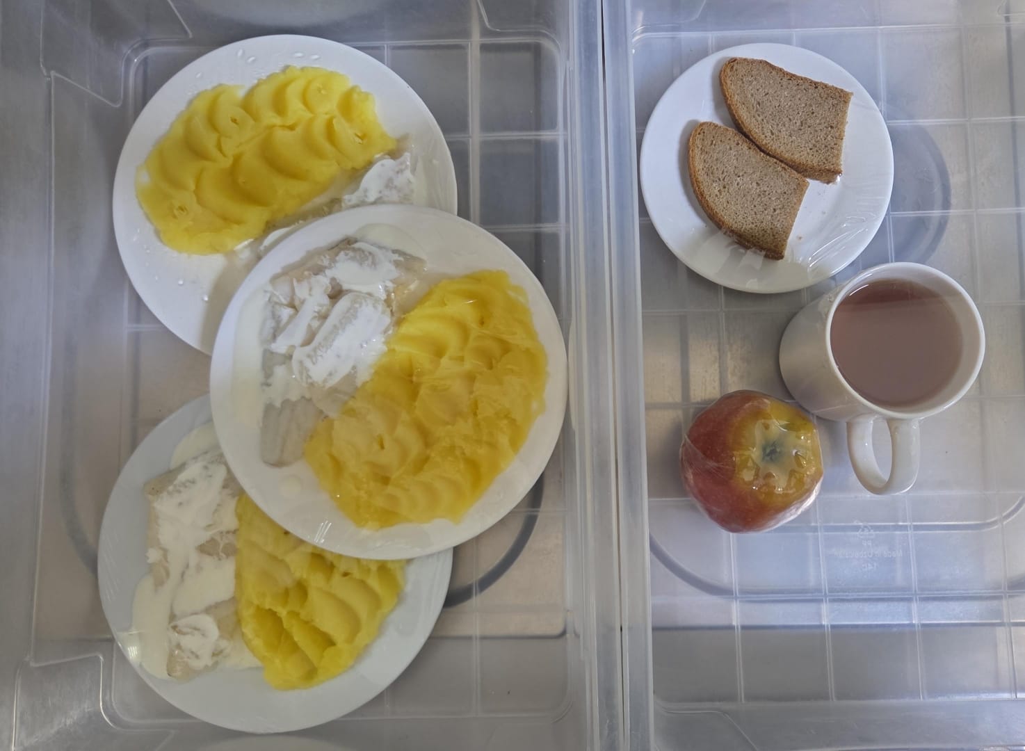 05.02.2026 ж. арналған бақылау тағамдары