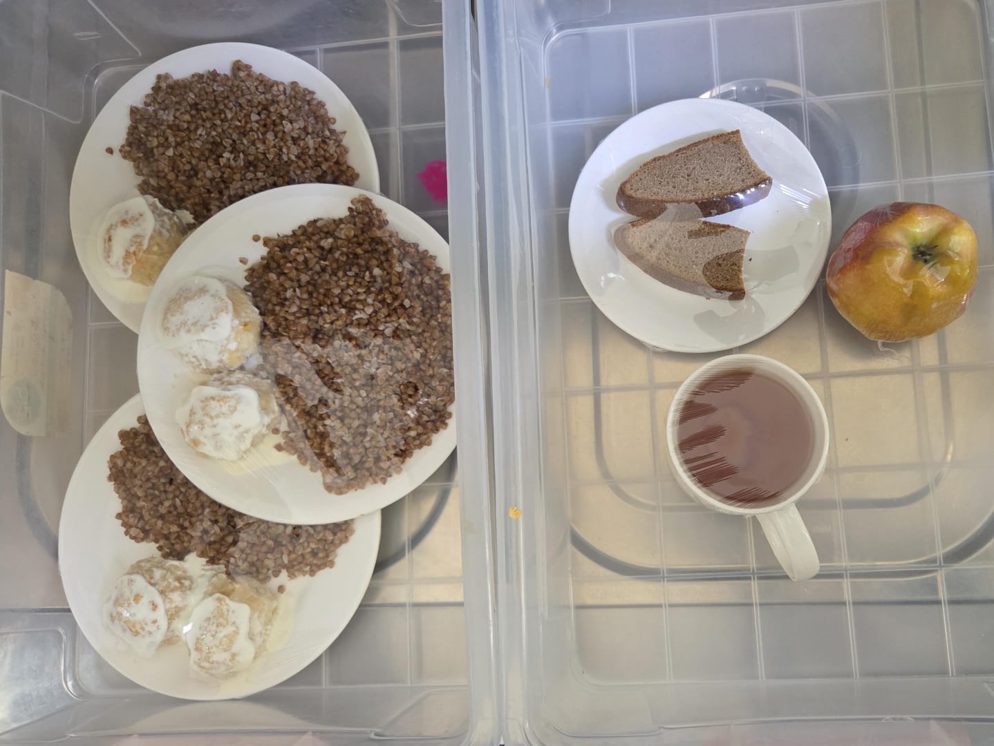 12.02.2026 ж. арналған бақылау тағамдары